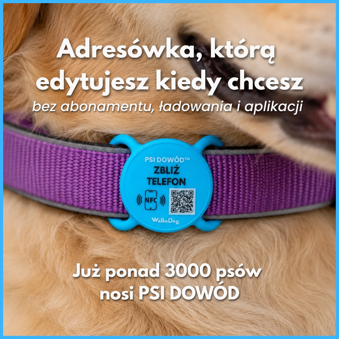 PSI DOWÓD Fluo - obrazek 2